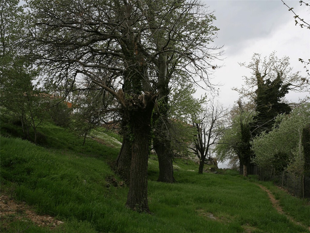 Οικόπεδο 3.617 τ.μ. πρός πώληση, Μαγνησία, Πορταριά