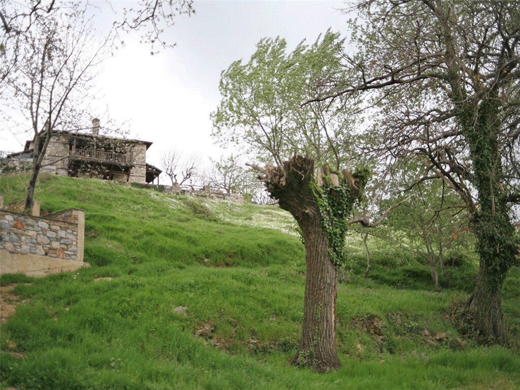 Οικόπεδο 3.617 τ.μ. πρός πώληση, Μαγνησία, Πορταριά