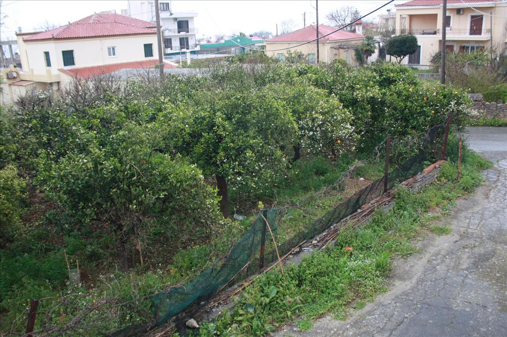 Οικόπεδο 512 τ.μ. προς πώληση, Μάλεμε