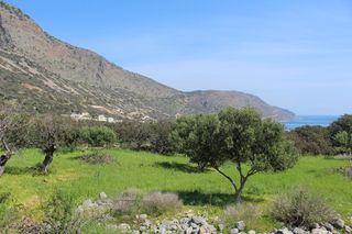 Οικόπεδο 5.889 τ.μ. για πώληση