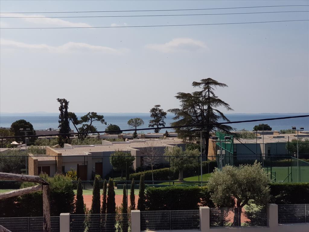 Επαγγελματικό 330 τ.μ. προς πώληση, Σκάλα Γερακινής