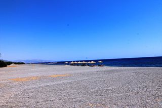 Οικόπεδο 11.000 τ.μ. για πώληση
