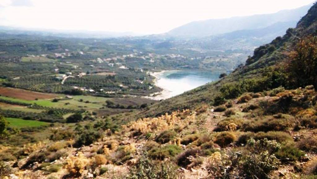 Οικόπεδο 288.000 τ.μ. προς πώληση, Μαθές