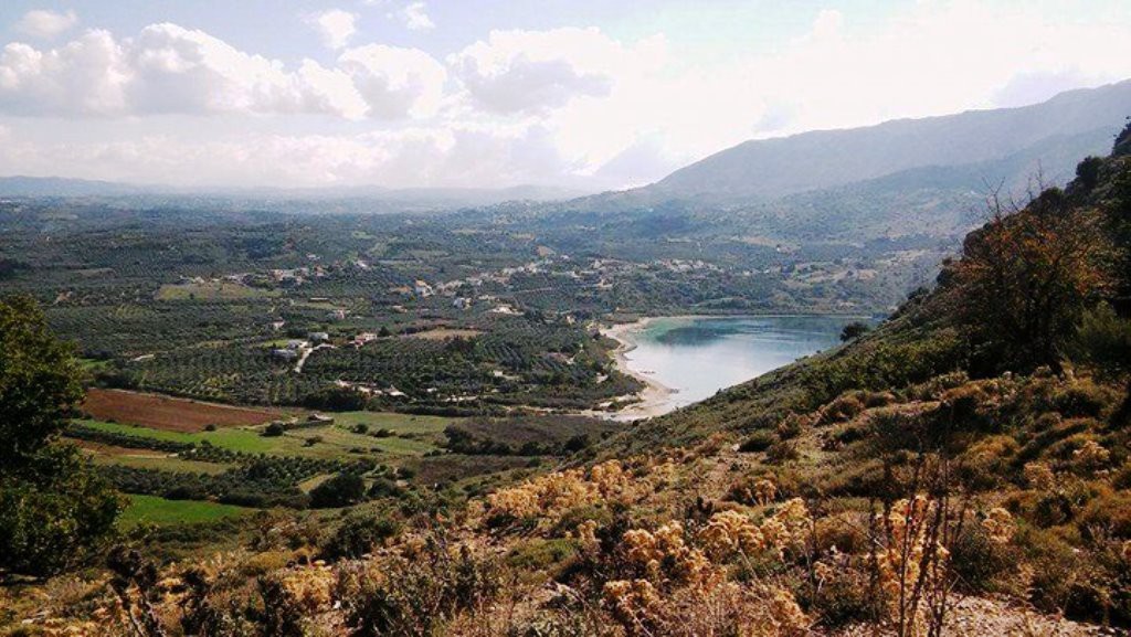 Οικόπεδο 288.000 τ.μ. προς πώληση, Μαθές