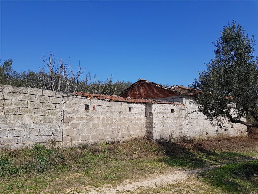 Οικόπεδο 1.800 τ.μ. προς πώληση, Άγιος Νικόλαος Σιθωνίας