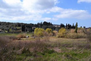 Οικόπεδο 7.000 τ.μ. για πώληση
