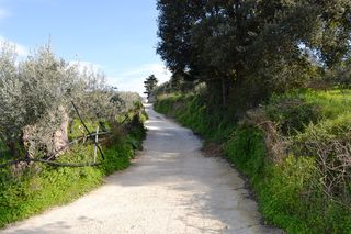 Οικόπεδο 5.500 τ.μ. για πώληση, Ν. Ρεθύμνου, Αρκάδι-thumb-1
