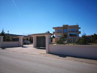 Βίλλα 320 τ.μ. για πώληση