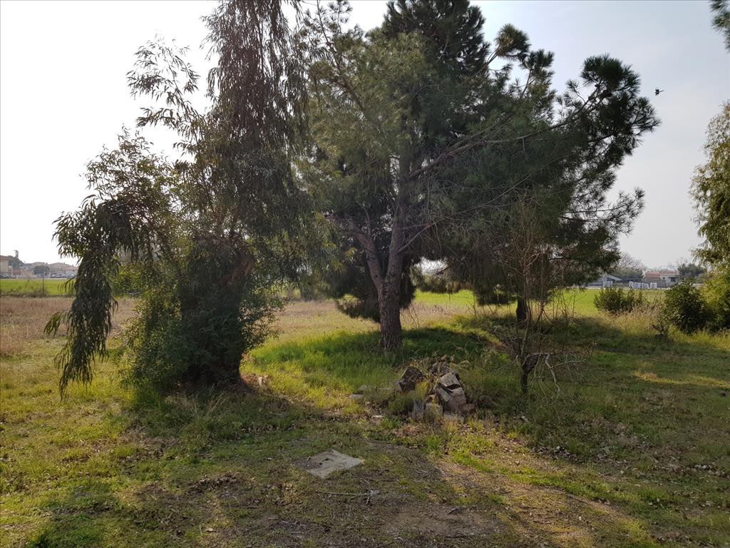 Μονοκατοικία 190 τ.μ. προς πώληση, Καλύβες Πολυγύρου