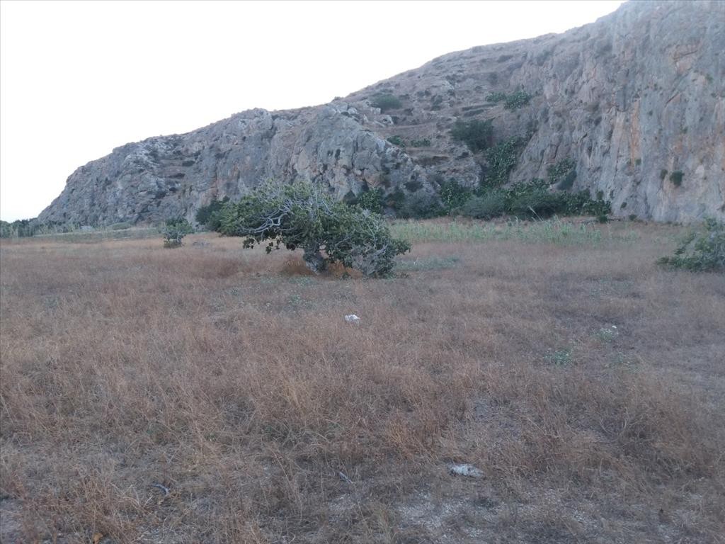 Οικόπεδο 5.000 τ.μ. προς πώληση, Θήρα