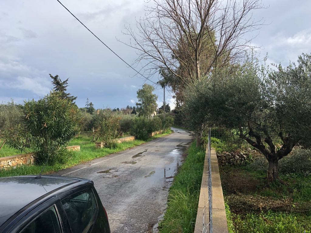 Οικόπεδο 1.433 τ.μ. προς πώληση, Λιτσάρδα