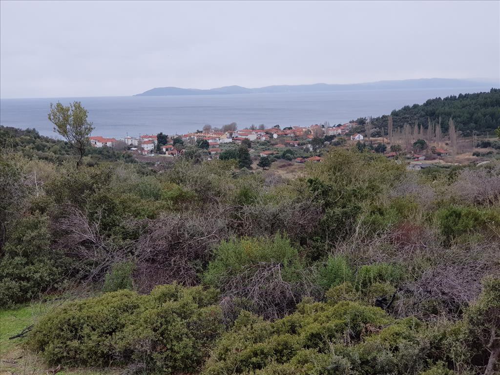 Οικόπεδο 12.500 τ.μ. προς πώληση, Κουφός Τορώνης