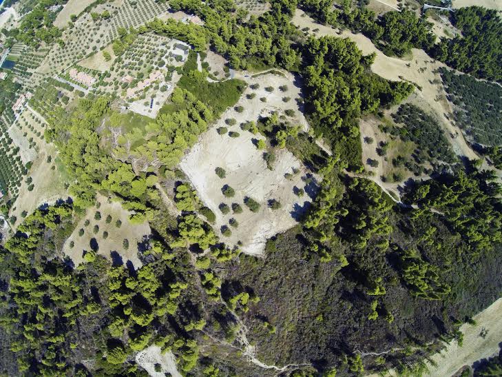 Οικόπεδο 12.000 τ.μ. προς πώληση, Πευκοχώρι
