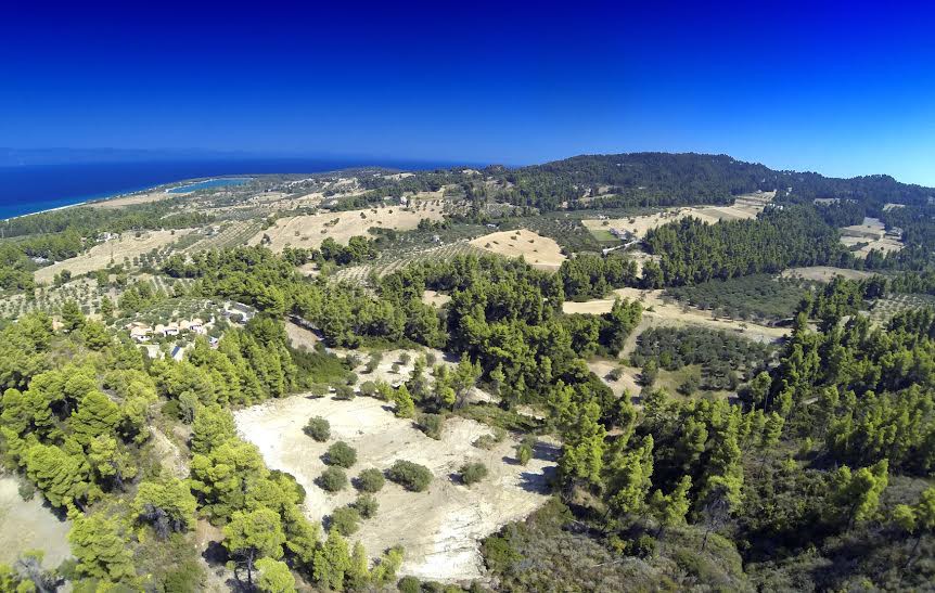 Οικόπεδο 12.000 τ.μ. προς πώληση, Πευκοχώρι