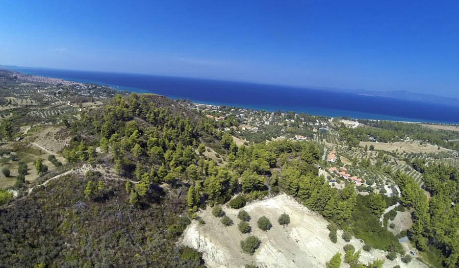 Οικόπεδο 12.000 τ.μ. προς πώληση, Πευκοχώρι