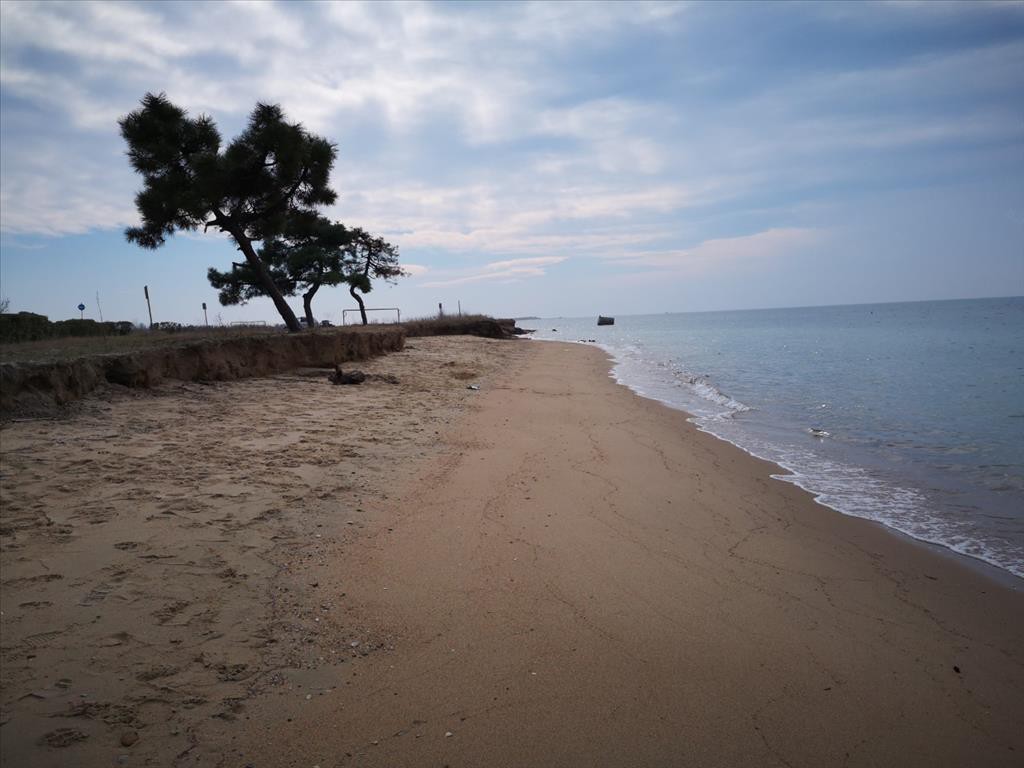 Οικόπεδο 8.000 τ.μ. προς πώληση, Νέα Ηράκλεια