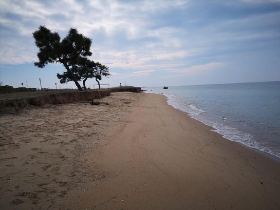 Land plot 8.000 sqm for sale, Chalkidiki, Kallikrateia