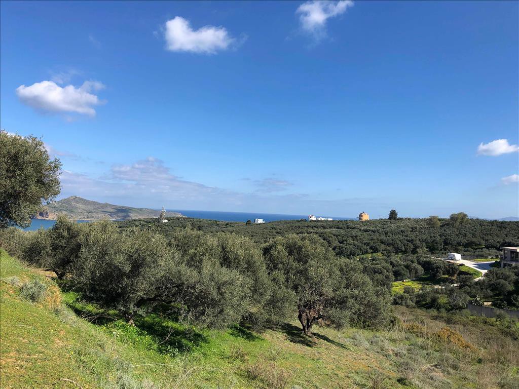 Οικόπεδο 4.062 τ.μ. προς πώληση, Σταλός