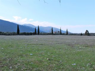 Οικόπεδο 24.000 τ.μ. για πώληση