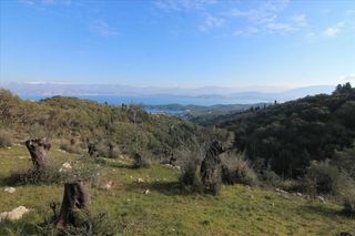 Οικόπεδο 6.000 τ.μ. για πώληση