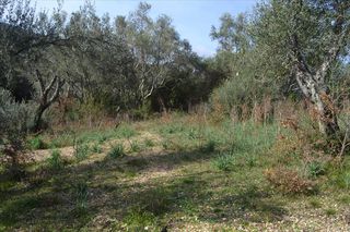 Οικόπεδο 4.930 τ.μ. για πώληση