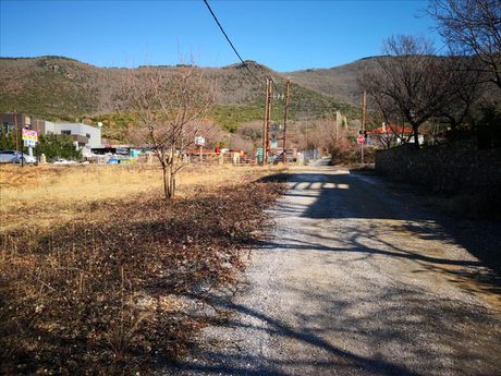Land plot 465 sqm for sale
