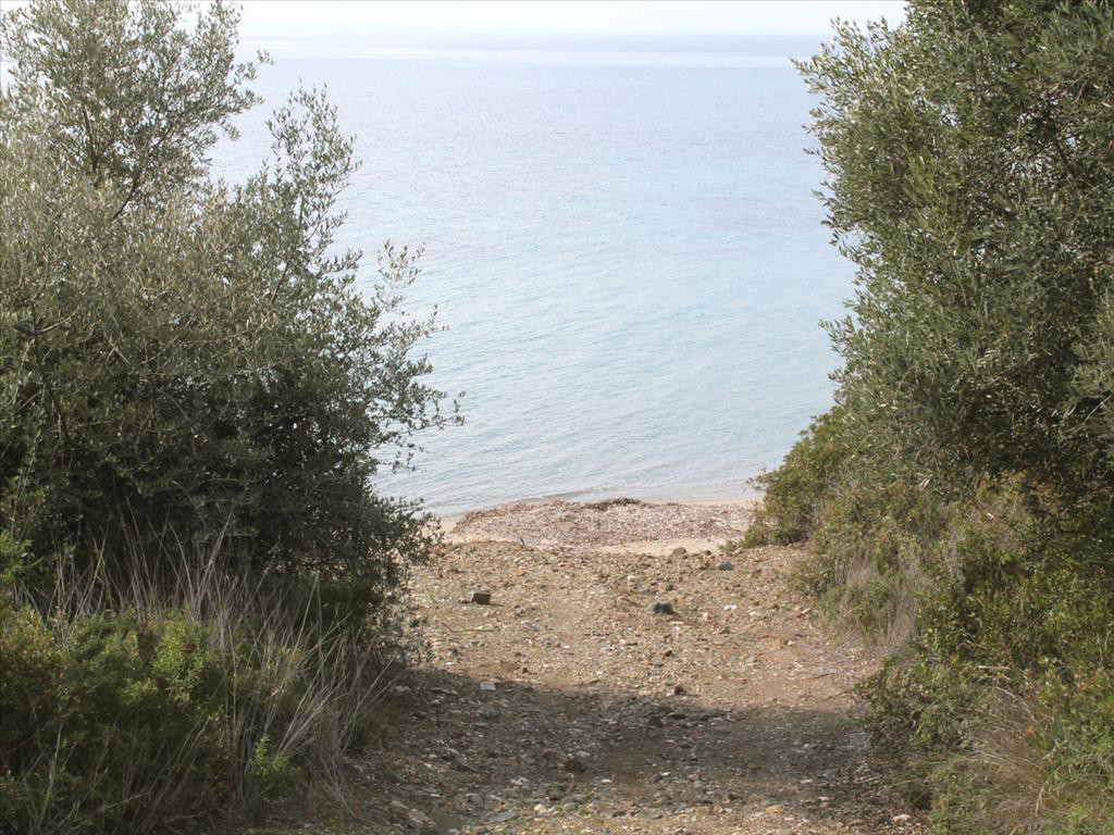 Οικόπεδο 13.244 τ.μ. προς πώληση, Βατοπέδι