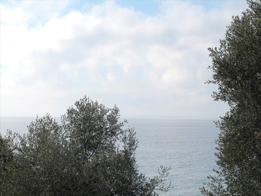 Οικόπεδο 13.244 τ.μ. προς πώληση, Βατοπέδι