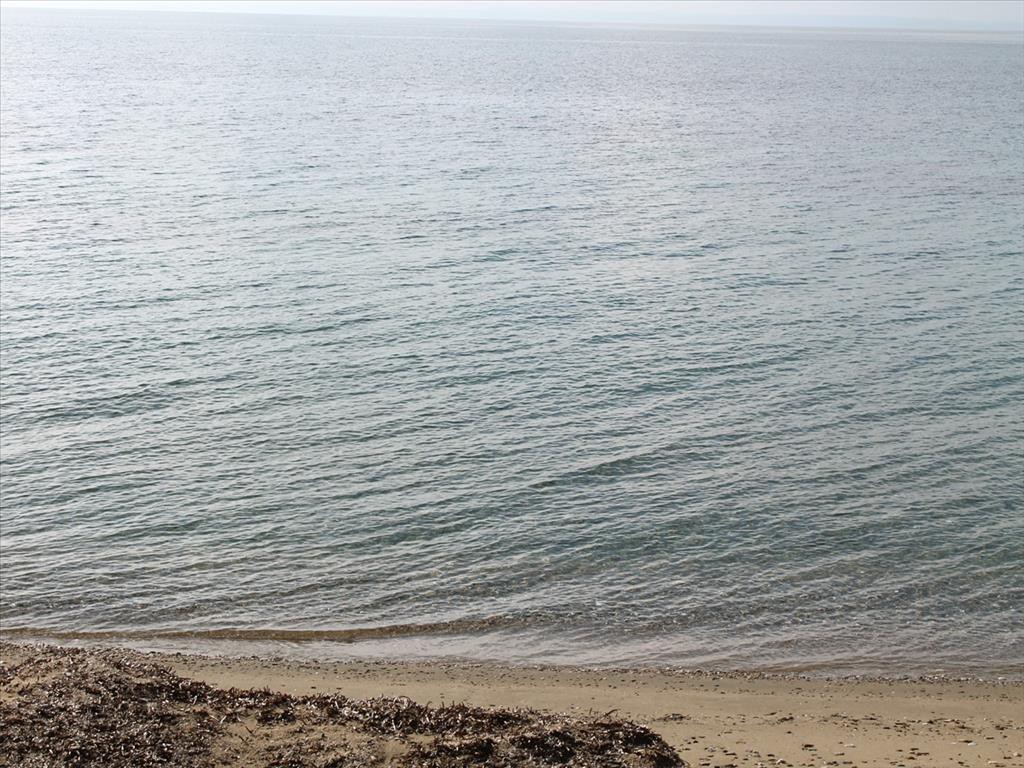 Οικόπεδο 13.244 τ.μ. προς πώληση, Βατοπέδι