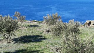 Οικόπεδο 27.000 τ.μ. για πώληση