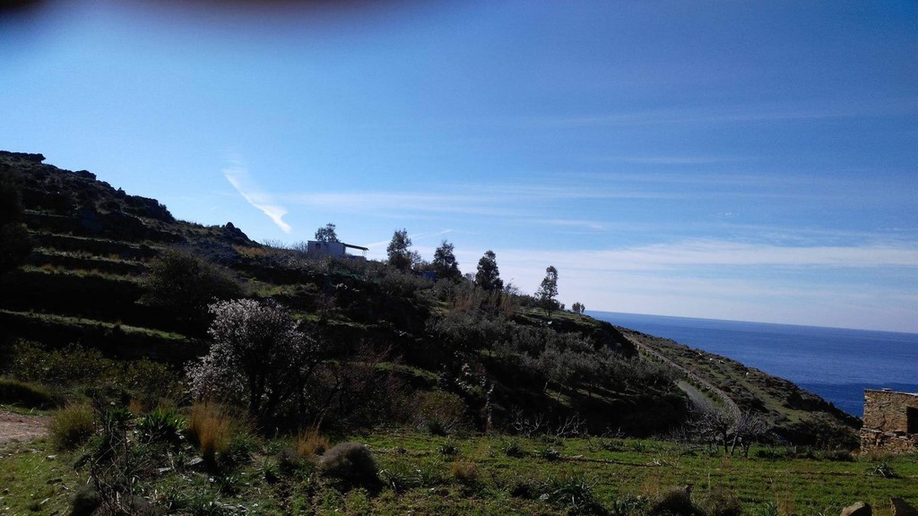 Οικόπεδο 27.000 τ.μ. προς πώληση, Κόρθιο