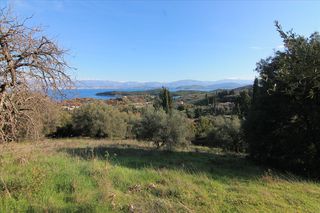 Οικόπεδο 12.500 τ.μ. για πώληση