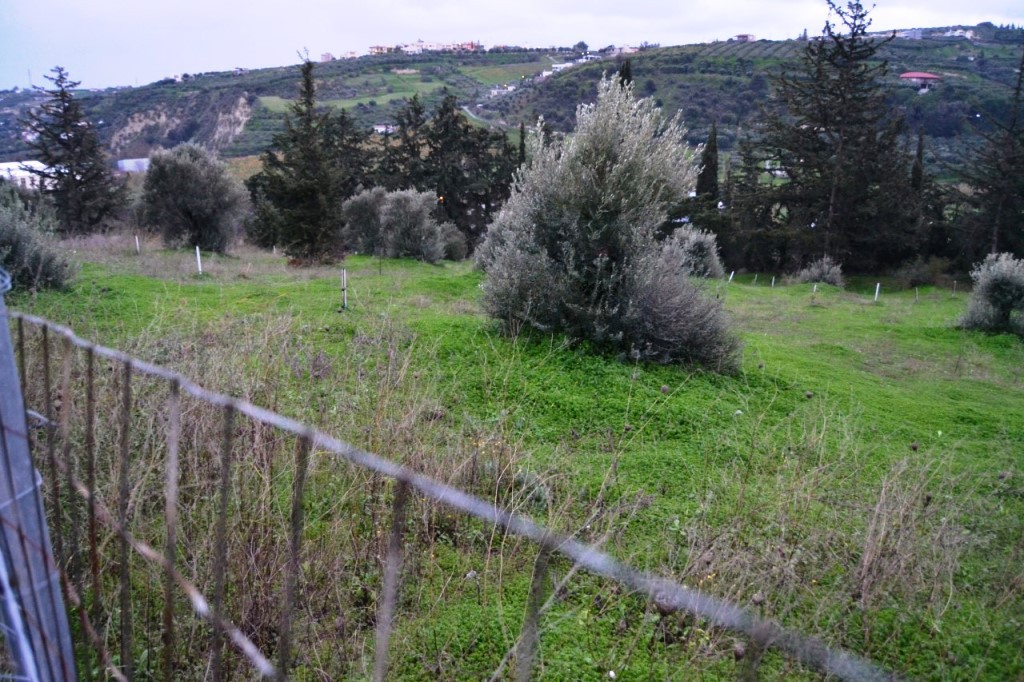 Οικόπεδο 4.100 τ.μ. προς πώληση, Αθάνατοι