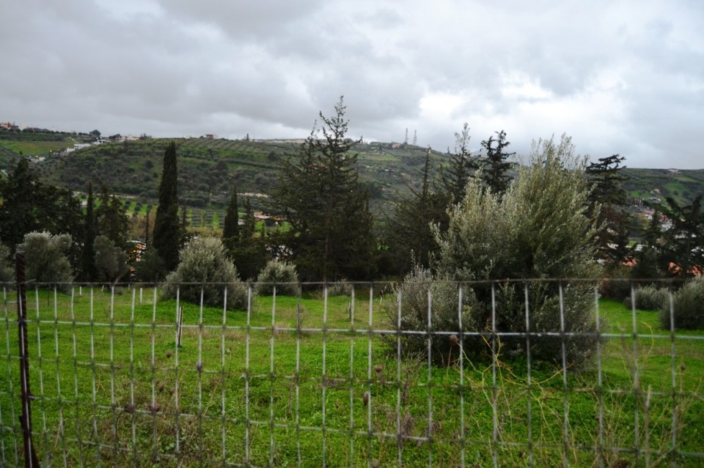 Οικόπεδο 4.100 τ.μ. προς πώληση, Αθάνατοι