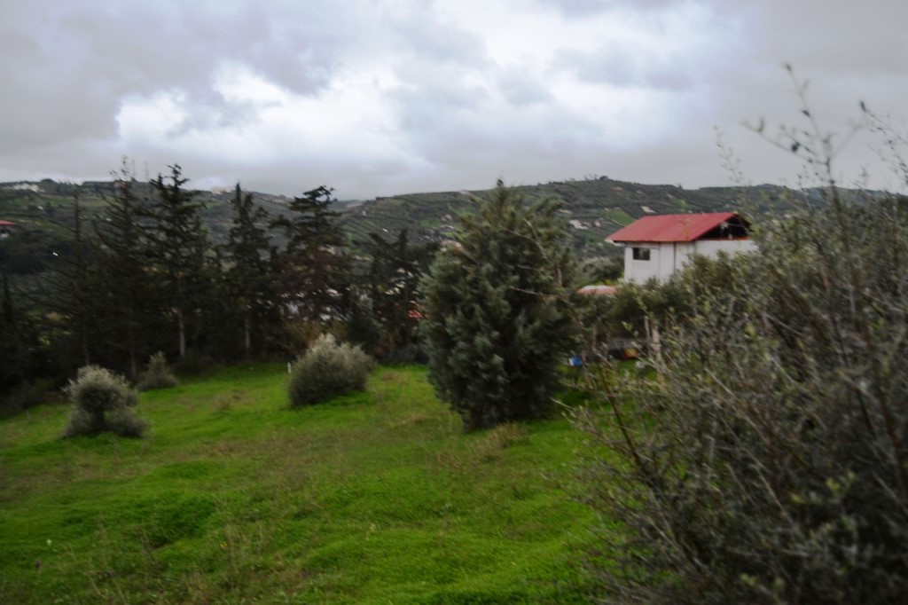 Οικόπεδο 4.100 τ.μ. προς πώληση, Αθάνατοι