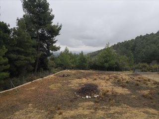 Βίλλα 298 τ.μ. για πώληση, Χαλκιδική, Πολύγυρος-thumb-21