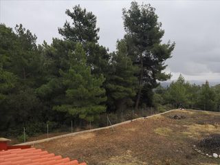 Βίλλα 298 τ.μ. για πώληση, Χαλκιδική, Πολύγυρος-thumb-22