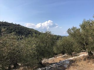 Οικόπεδο 2.500 τ.μ. για πώληση, Ν. Κέρκυρας, Κέρκυρα-thumb-7