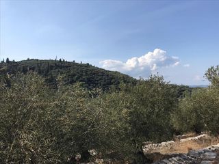 Οικόπεδο 2.500 τ.μ. για πώληση, Ν. Κέρκυρας, Κέρκυρα-thumb-6