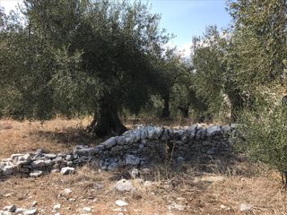 Οικόπεδο 2.500 τ.μ. για πώληση, Ν. Κέρκυρας, Κέρκυρα-thumb-3