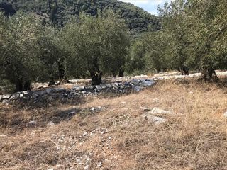 Οικόπεδο 2.500 τ.μ. για πώληση, Ν. Κέρκυρας, Κέρκυρα-thumb-5