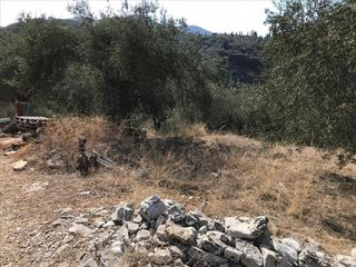 Οικόπεδο 2.500 τ.μ. για πώληση, Ν. Κέρκυρας, Κέρκυρα-thumb-4