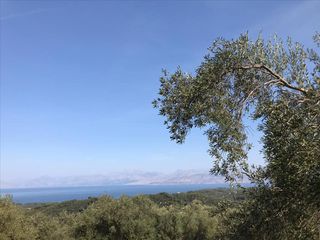 Οικόπεδο 2.500 τ.μ. για πώληση, Ν. Κέρκυρας, Κέρκυρα-thumb-1