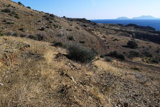 Οικόπεδο 4.040 τ.μ. προς πώληση, Άγιος Παύλος Λάμπης-thumb-7