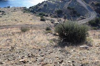Οικόπεδο 4.040 τ.μ. προς πώληση, Άγιος Παύλος Λάμπης-thumb-5
