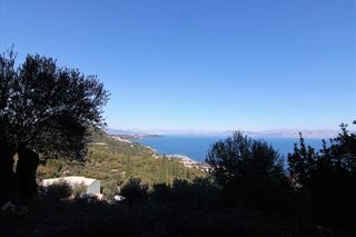 Οικόπεδο 5.000 τ.μ. για πώληση