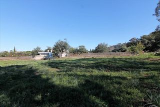 Οικόπεδο 5.000 τ.μ. για πώληση, Ν. Κέρκυρας, Κέρκυρα-thumb-9
