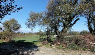 Οικόπεδο 5.000 τ.μ. για πώληση, Ν. Κέρκυρας, Κέρκυρα-thumb-5