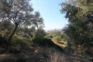 Οικόπεδο 4.576 τ.μ. για πώληση, Ν. Κέρκυρας, Κέρκυρα-thumb-8