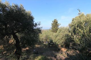 Οικόπεδο 4.576 τ.μ. για πώληση, Ν. Κέρκυρας, Κέρκυρα-thumb-7